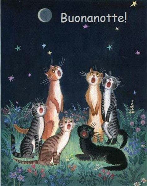 Immagini Buonanotte WhatsApp - BuongiornissimoCaffe.it