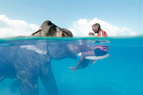 8 Rare National Geographic Photos | Reader's Digest