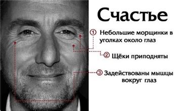 Физиогномика: о чем говорит форма глаз, носа, ушей и рта - allWomens ...