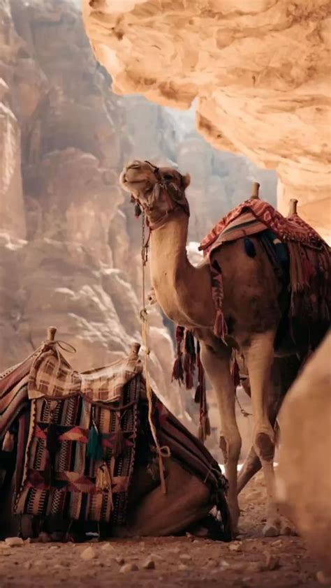 The ruins of Petra, the capital of the Nabatean kingdom . | Luoghi ...