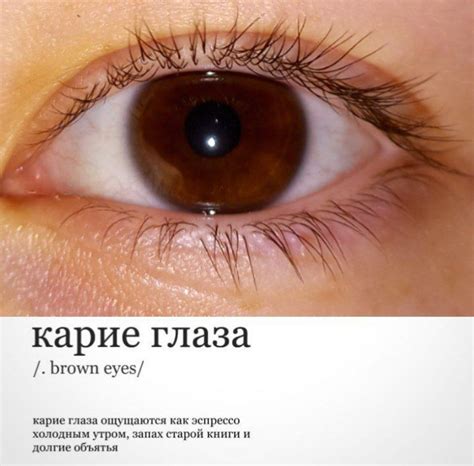 карие глаза | Цвет глаз, Глаза, Темно-карие глаза