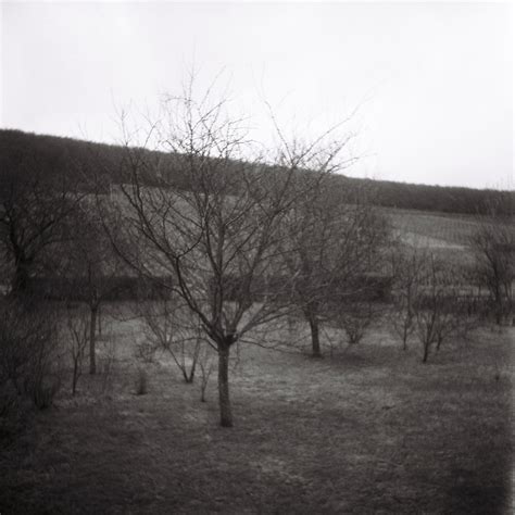 Lubitel 166B – Noir et Blanc