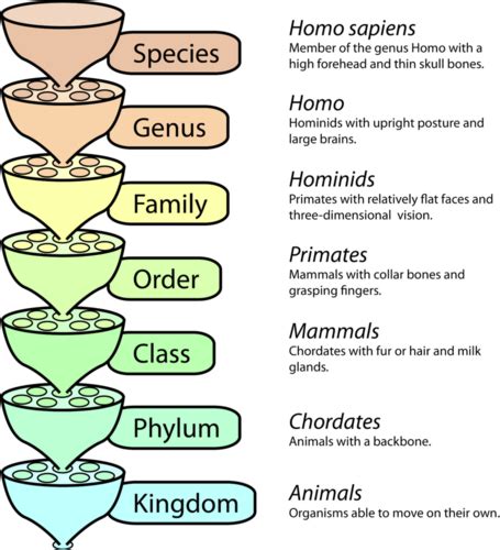 Raising Stripling Warriors - Science