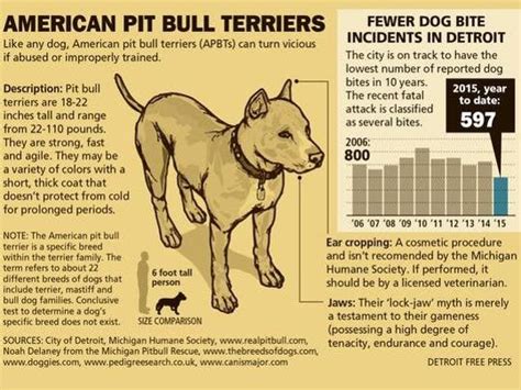 state bill  outlaw local bans  pit bulls