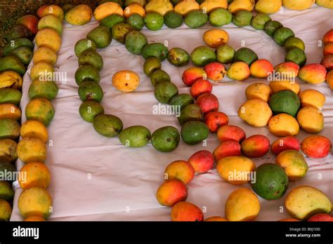mango display  mango fest stock photo alamy
