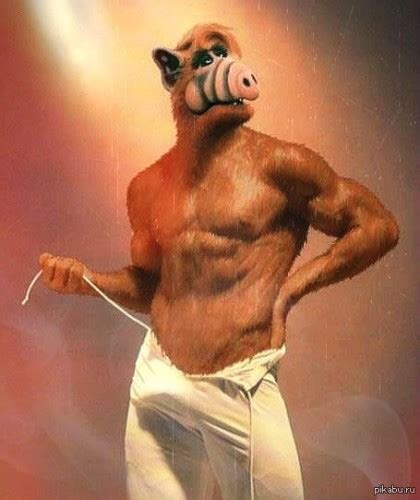 Создать мем "альфа самец, alf, Альф" - Картинки - Meme-arsenal.com