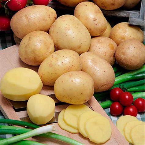 Картофель Гала