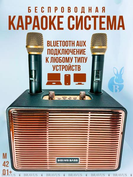 Беспроводная караоке система с двумя микрофонами и колонкой - купить с ...
