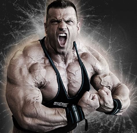 Muscle Lover
