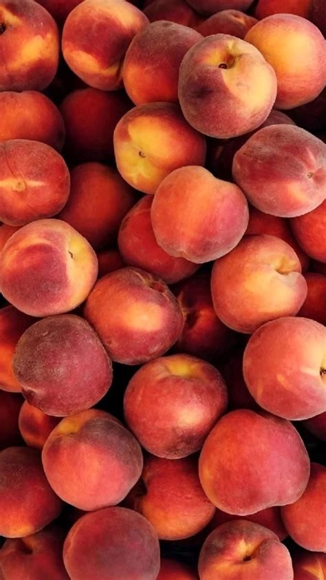 Épinglé par Zaika_m sur Ваши пины | Fond d'écran fruit, Fond d'écran ...