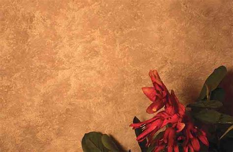 Декоративная краска «DECORA» из Италии от производителя Spiver ...