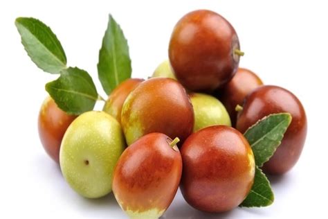 Jujube Fruit Benefits, Nutrition Facts And How To Use Axe, 52% OFF