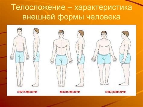 Плоскости, оси и области тела - презентация онлайн