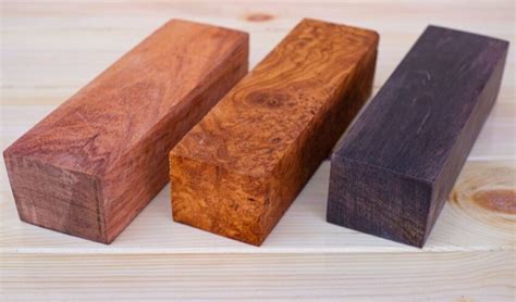 worlds  exotic woods  journey  discovery