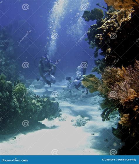 Two Scuba Divers and Coral Reef Stock Photo - Image of tropical, mask