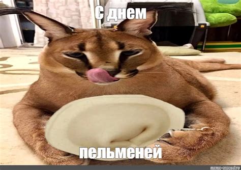 Создать мем "каракал шлёпа пельмени, большой шлёпа кот, кот шлёпа ...