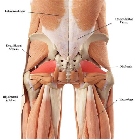 Painful Hips When Walking - JOI Jacksonville Orthopaedic Institute