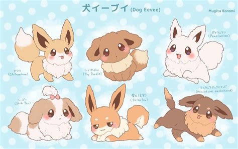Eevee as dog breeds : r/Eevee