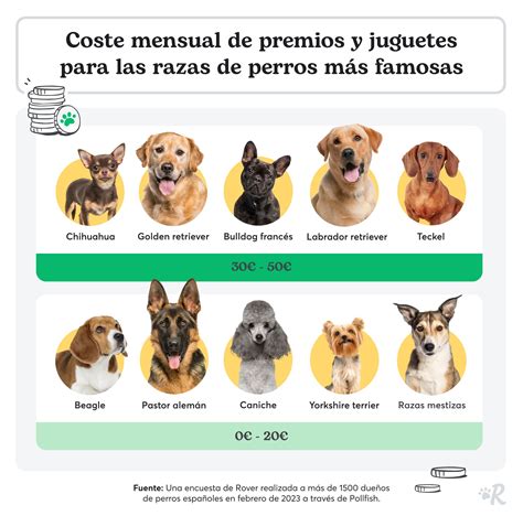Cuanto Cuesta Tener Un Perro Al Mes