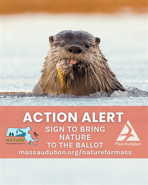 Blue Hills Trailside Museum | Milton MA