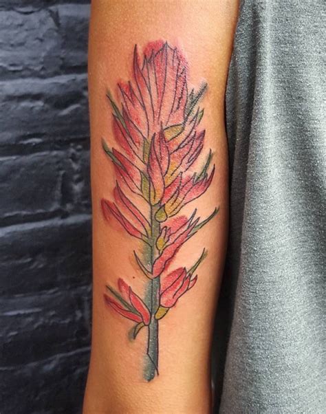 Indian Paintbrush by Britt Felgate Indian Paintbrush, Britt, Paint