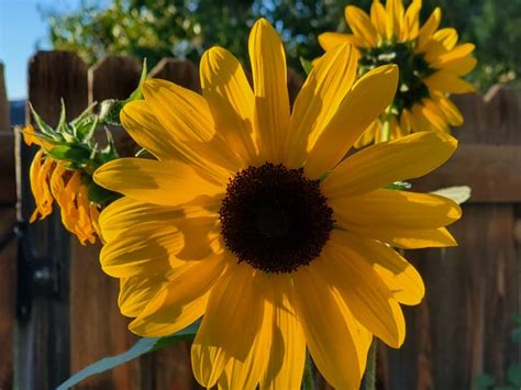 how to know if hecate is reaching out