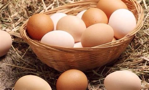 Доказано, что употребление яиц продлевает жизнь. Но полезны они не всем