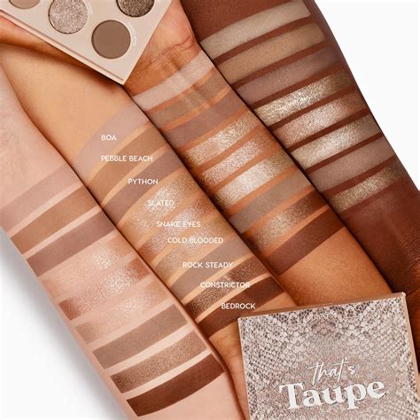taupe color eyeshadow 7