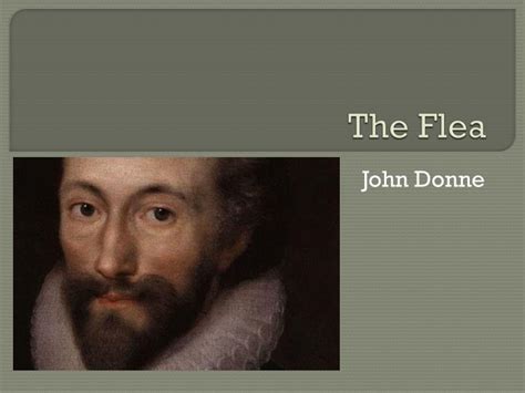 PPT - The Flea PowerPoint Presentation, free download - ID:2510344