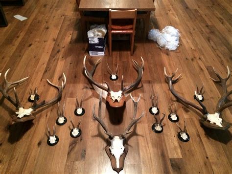How to arrange a collection on a wall