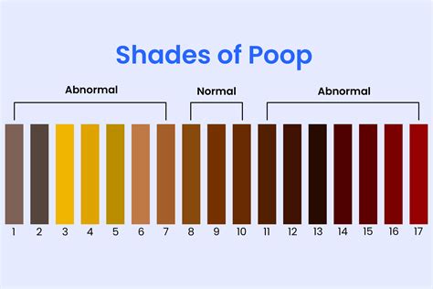 identifying types of poop with the bristol stool chart and more vlr