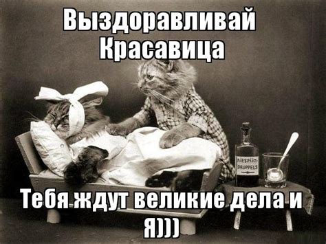 Открытки выздоравливай любимая