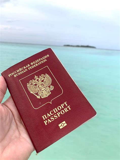Изучаем свои загранпаспорта, чтобы их не забрали на границе ...