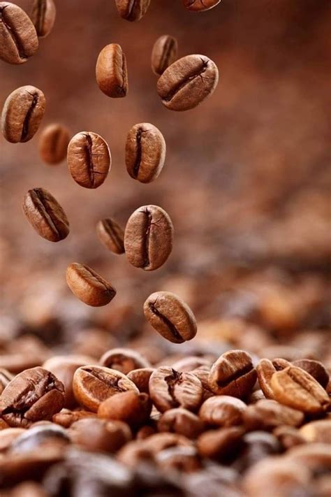 Pin by Athanasios Eleziadis on Coffee | Coffee drink recipes, Coffee ...