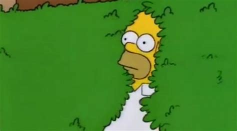 Los Simpson - Homer usa su propio "meme del arbusto" en la serie