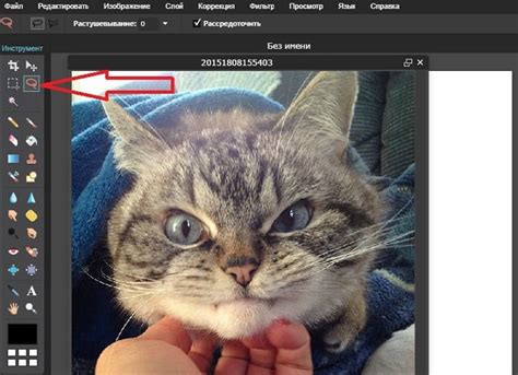 Как обрезать фото по кругу онлайн?
