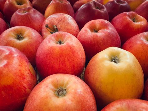 red apples  stock photo public domain pictures