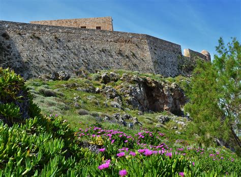 Изучаем Крит Растения Крита We study Crete. Plants of Crete | Экскурсии ...