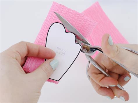 Free Crepe Paper Flower Templates | Best Flower Site