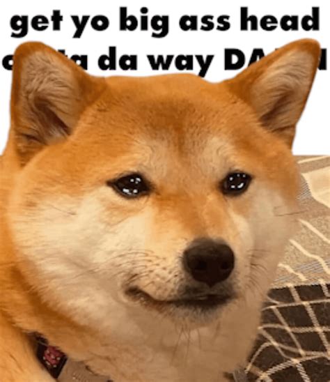 typa shit i been on. : r/okbuddyretard