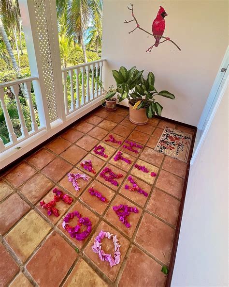 sidney summers (@sidneysummers.x) • Instagram photos and videos