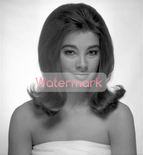 Young ANNE ARCHER Stunning Portrait ** HI-RES Fine Art Archival Print