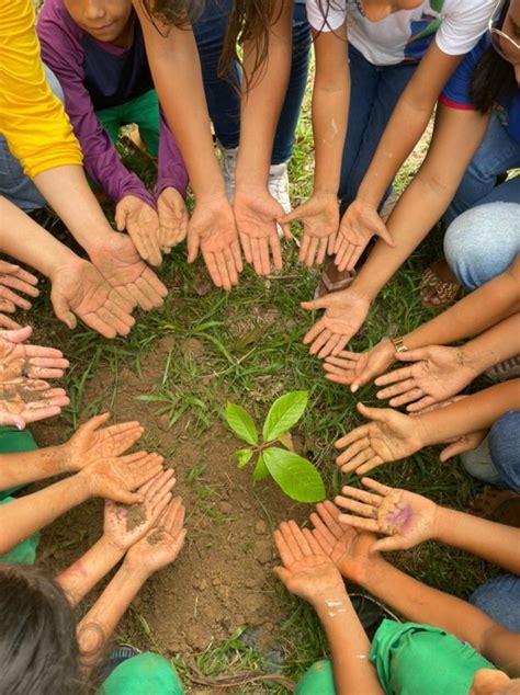 O Que Educação Ambiental - Educação Ambiental: o que é e como agir perante essa ideia