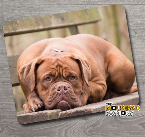 Bordeaux Mastiff Dog Mouse Pad - The Mousepad Factory