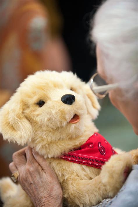 How Robotic Cats and Dogs Are Providing Comfort to Seniors With ...