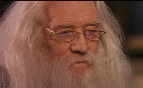 Richard Harris as Albus Dumbledore | The secret book, Little books ...