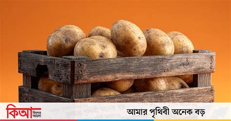 alu el kotha theke kisor alo