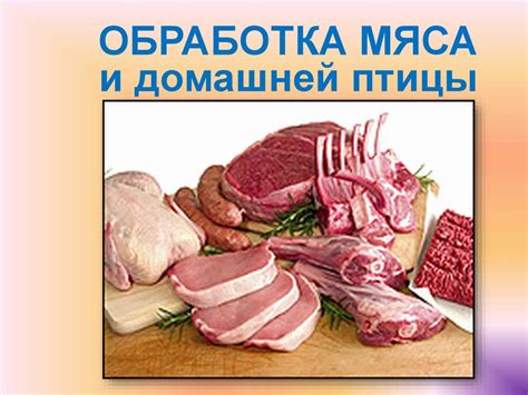 Обработка мяса и домашней птицы - презентация онлайн