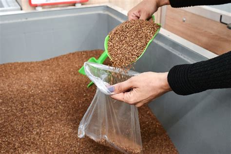 Названы самые подорожавшие продукты России: Госэкономика: Экономика ...