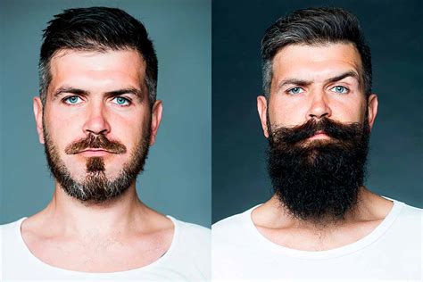 full  collection  amazing beard style images   images